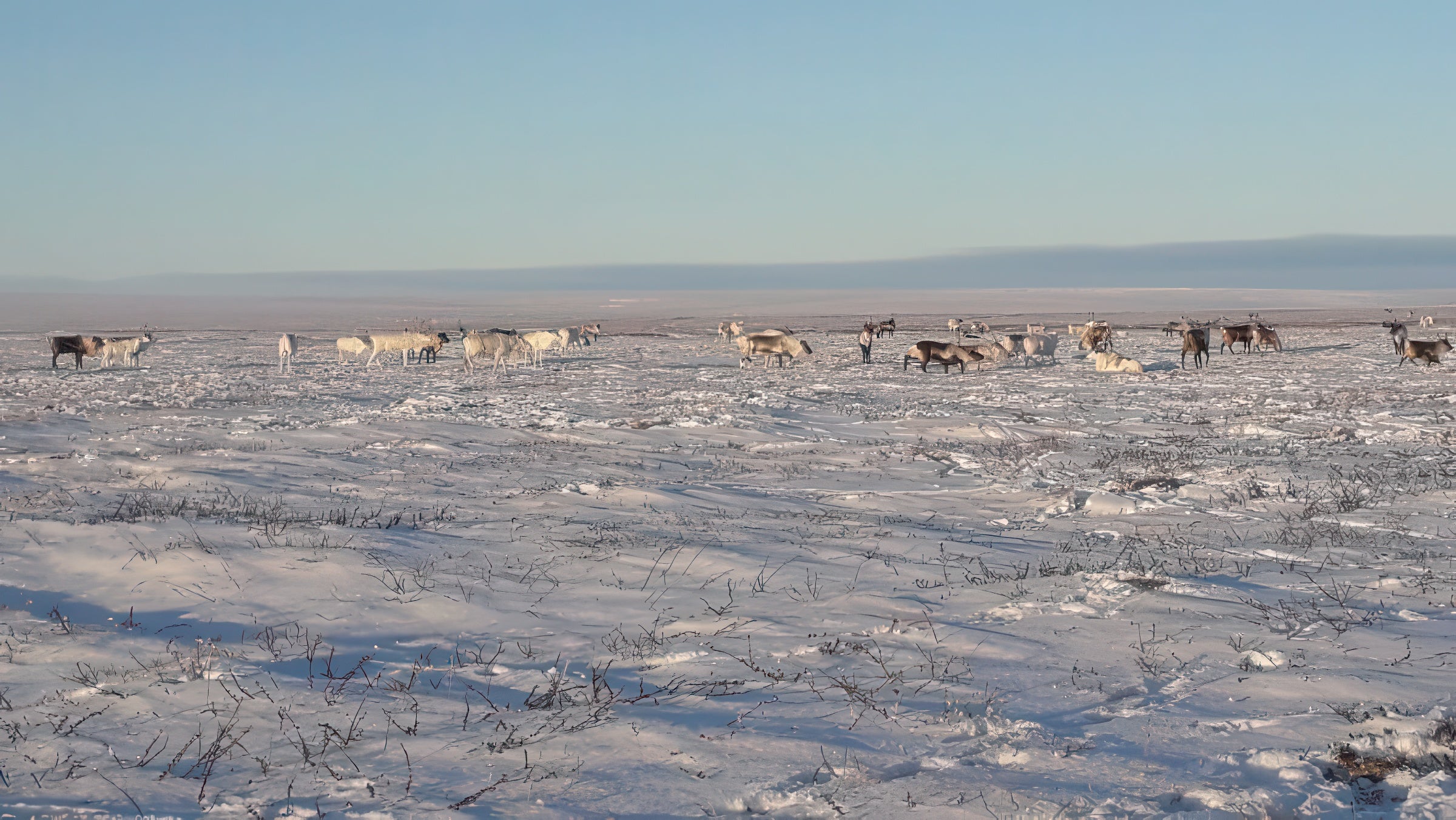 Porno onam qarzlarni tolaydi Voyaga etgan erkaklar porno video